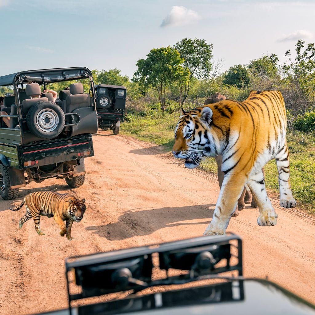 8 Days Golden Triangle Tour With Ranthambore